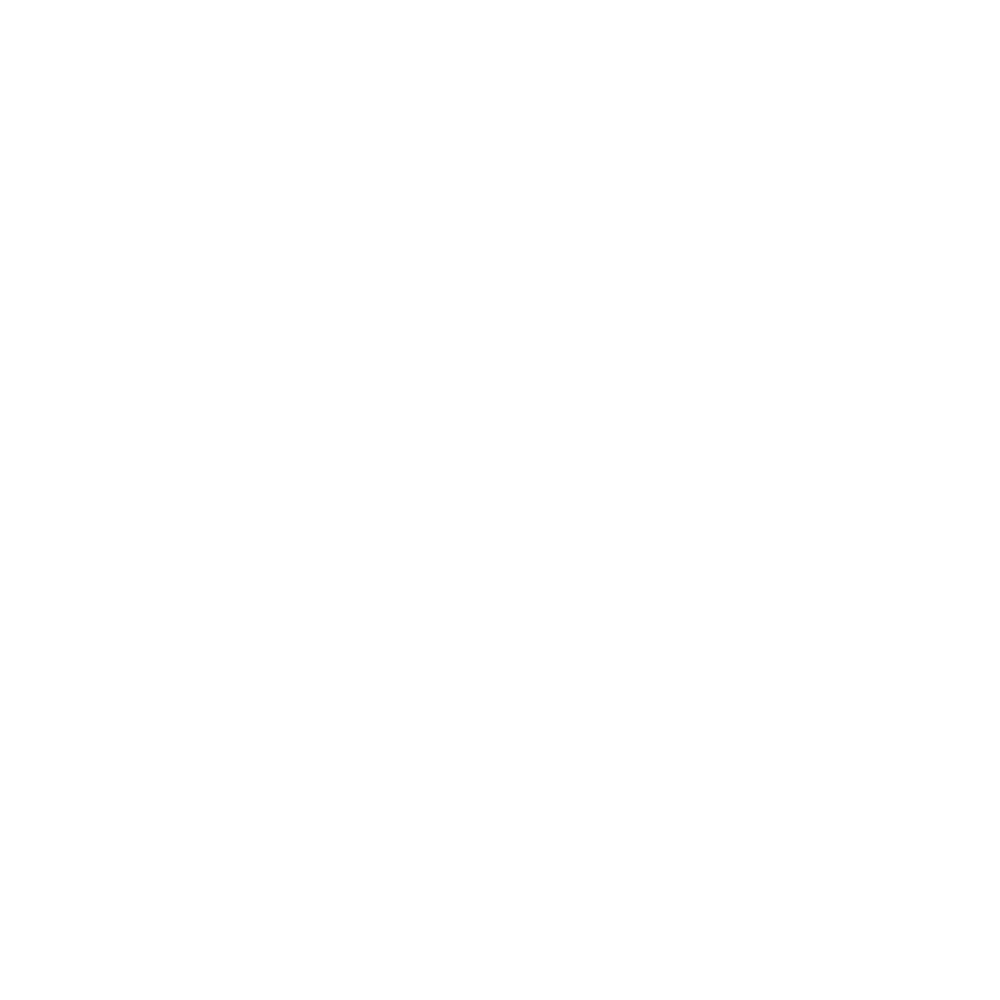 Team Fifty Logo